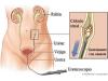 Foto de Dr. Efrain barradas huervo. Cirujano urologo -prostata, rion