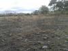 Foto de Inmobiliaria navarro-hidalgo, s a-trmite de crditos para