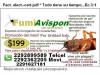 Foto de Control de plagas avispon-exterminio de insectos y alimanias