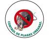 Foto de Servicios y manejo integral de plagas