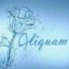 Foto de Aliquam
