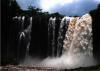 Foto de Martin,s Tours