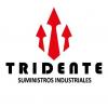Foto de Tridente suministros industriales S.A. De C.V.